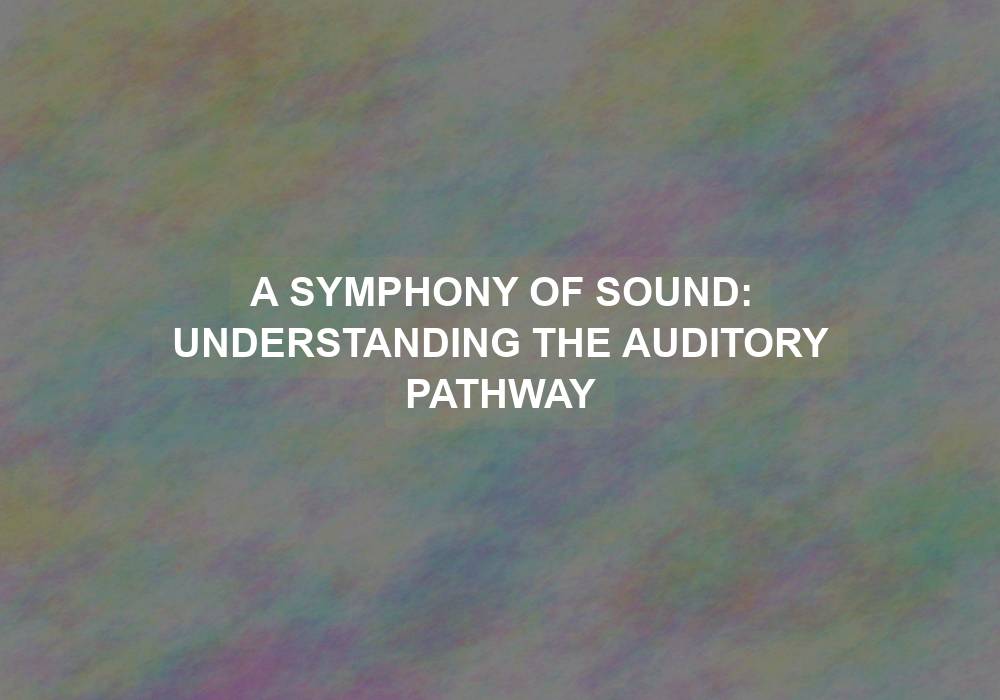 A Symphony of Sound: Understanding the Auditory Pathway