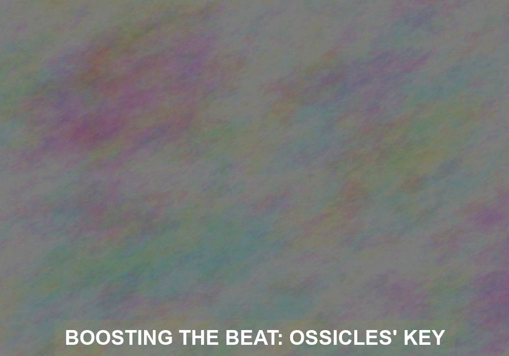 Boosting the Beat: Ossicles’ Key Role in Amplifying Sound Waves