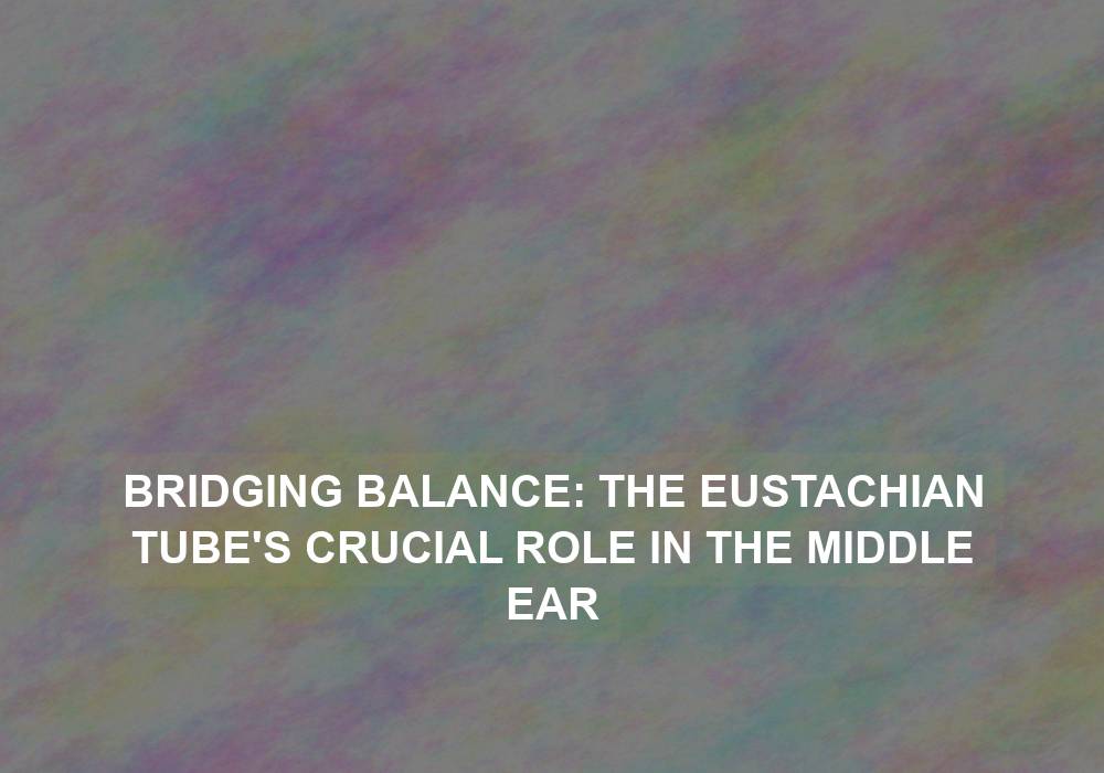 Bridging Balance: The Eustachian Tube’s Crucial Role in the Middle Ear