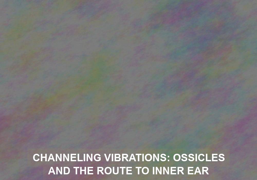 Channeling Vibrations: Ossicles and the Route to Inner Ear Resonance