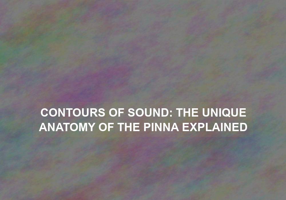 Contours of Sound: The Unique Anatomy of the Pinna Explained