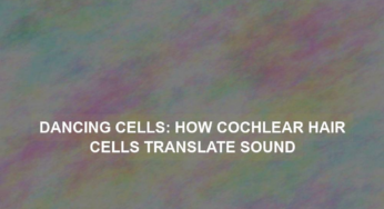 Dancing Cells: How Cochlear Hair Cells Translate Sound