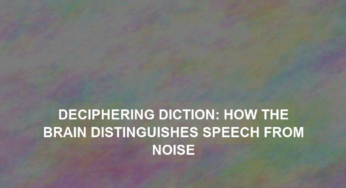 Deciphering Diction: How the Brain Distinguishes Speech from Noise