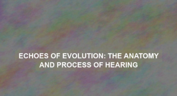 Echoes of Evolution: The Anatomy and Process of Hearing