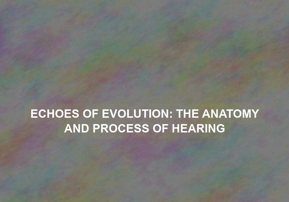 Echoes of Evolution: The Anatomy and Process of Hearing