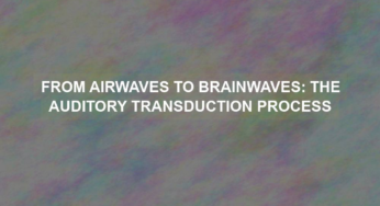 From Airwaves to Brainwaves: The Auditory Transduction Process