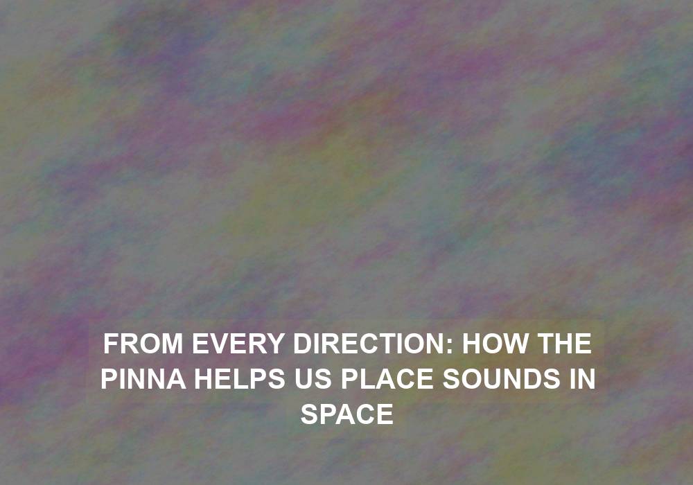 From Every Direction: How the Pinna Helps Us Place Sounds in Space