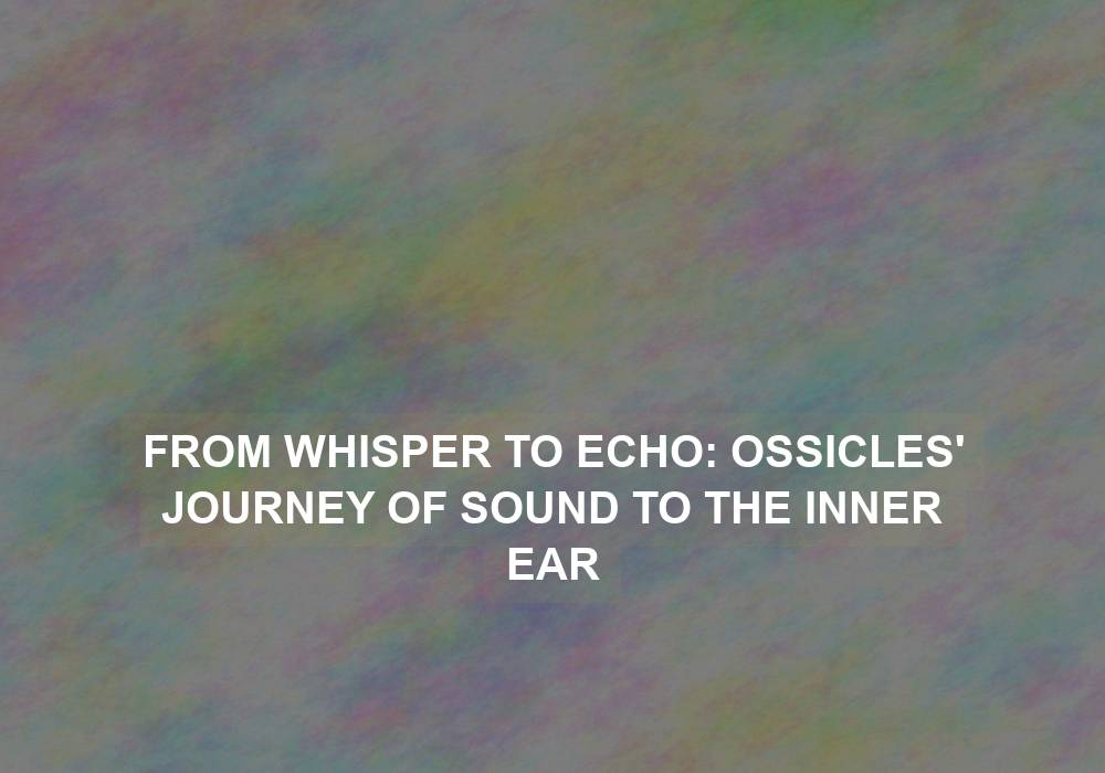 From Whisper to Echo: Ossicles’ Journey of Sound to the Inner Ear