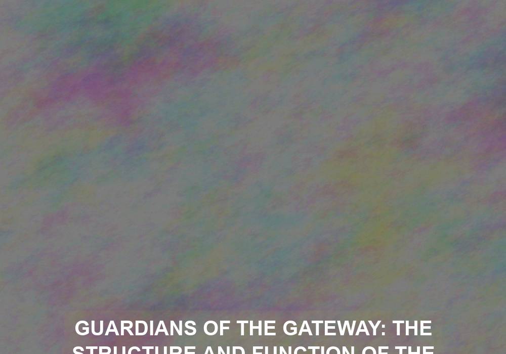 Guardians of the Gateway: The Structure and Function of the Outer Ear