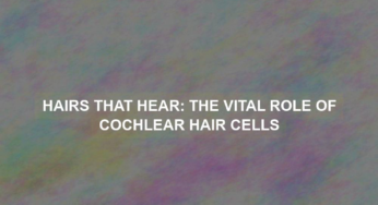 Hairs that Hear: The Vital Role of Cochlear Hair Cells