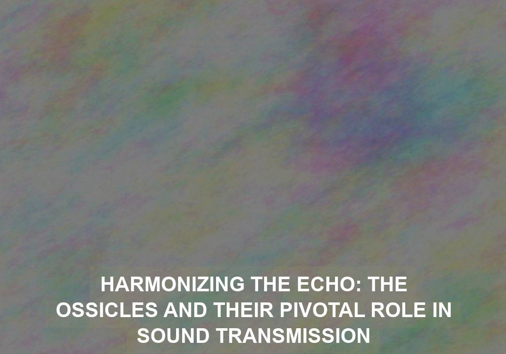 Harmonizing the Echo: The Ossicles and Their Pivotal Role in Sound Transmission