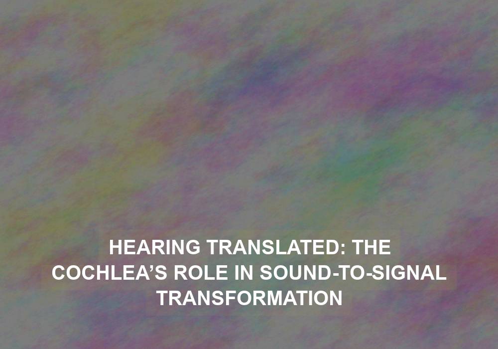 Hearing Translated: The Cochlea’s Role in Sound-to-Signal Transformation