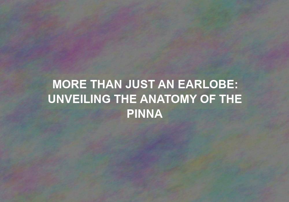 More Than Just an Earlobe: Unveiling the Anatomy of the Pinna