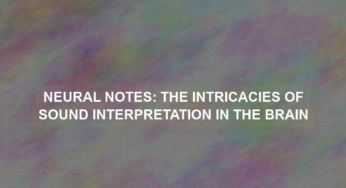 Neural Notes: The Intricacies of Sound Interpretation in the Brain