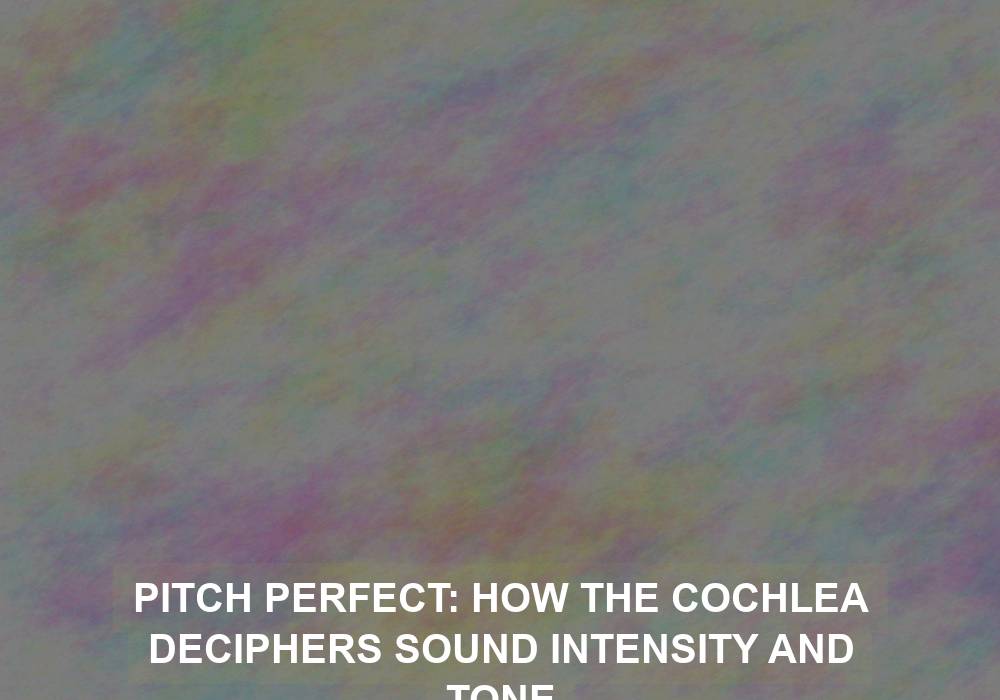 Pitch Perfect: How the Cochlea Deciphers Sound Intensity and Tone