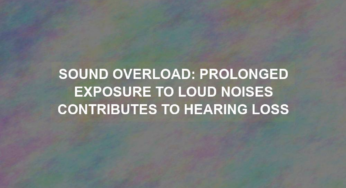 Sound Overload: Prolonged Exposure to Loud Noises Contributes to Hearing Loss