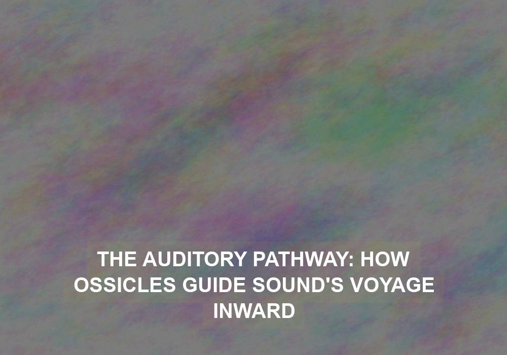 The Auditory Pathway: How Ossicles Guide Sound’s Voyage Inward