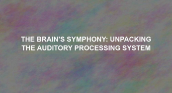 The Brain’s Symphony: Unpacking the Auditory Processing System