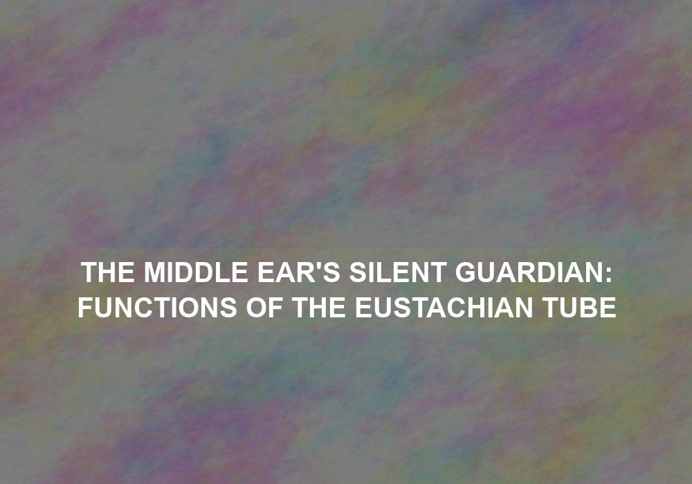 The Middle Ear’s Silent Guardian: Functions of the Eustachian Tube