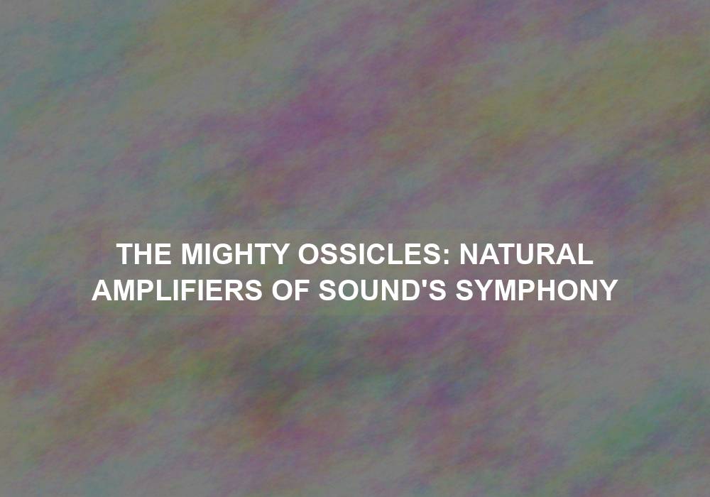The Mighty Ossicles: Natural Amplifiers of Sound’s Symphony