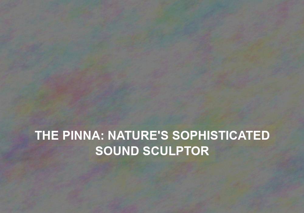 The Pinna: Nature’s Sophisticated Sound Sculptor