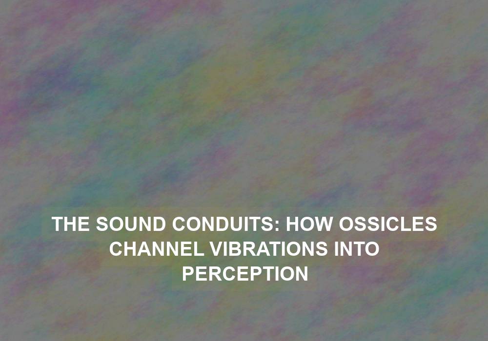 The Sound Conduits: How Ossicles Channel Vibrations into Perception