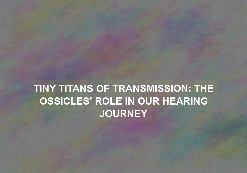 Tiny Titans of Transmission: The Ossicles’ Role in Our Hearing Journey
