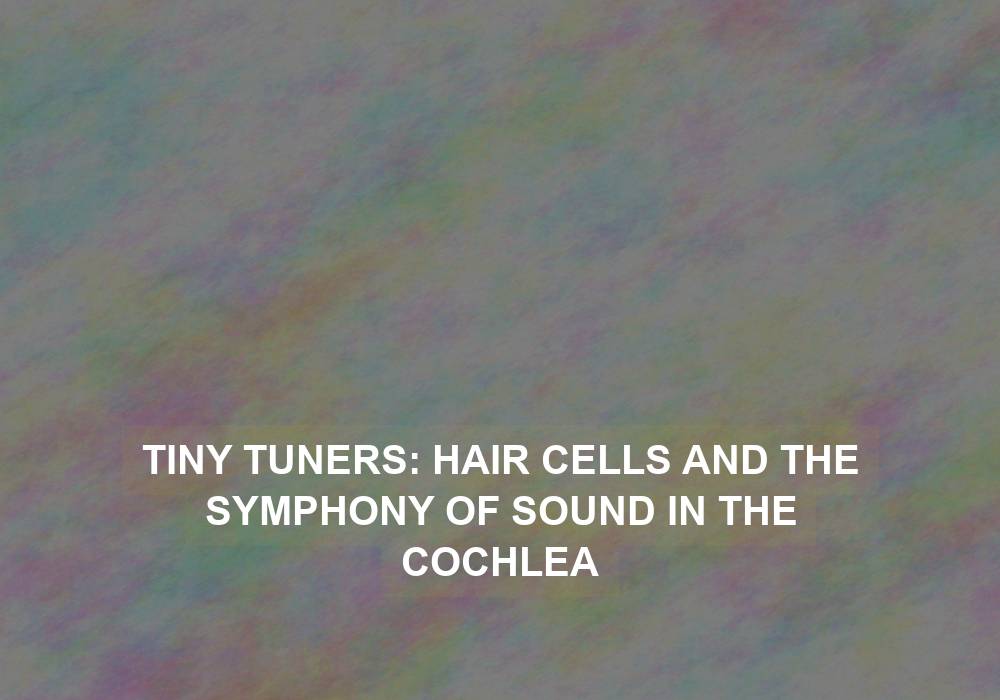 Tiny Tuners: Hair Cells and the Symphony of Sound in the Cochlea